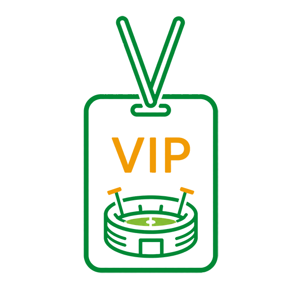 VIP Stadium Tour